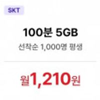 통화 100분, 데이터 5GB