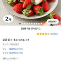 설향 딸기 대과, 500g, 2개