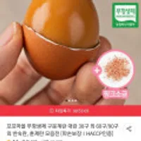 꼬꼬마을 무항생제 구운계란 60구 (대란) + 핑크솔트 증정