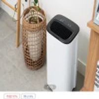 윈세이 방하나 공기청정 제습기 W10LA