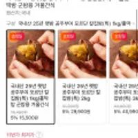25년 출하 햇밤 국내산 포르단 칼집밤(특) 1kg
