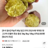 무농약 해남 밤고구마 25년수확 퍽퍽한 햇 고구마 진율미 특상5kg (무배)