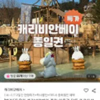 용인 캐리비안베이 종일 이용권 3월3일 이내 사용