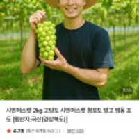 샤인머스캣 2kg 4수
