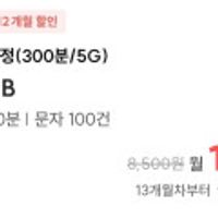 통화 300분, 데이터 5GB
