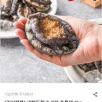 국내산 활전복 초특대 1kg 7-9미