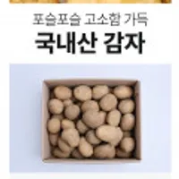 포슬포슬 햇 수미감자 5kg 중