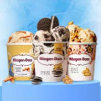 **네멤** 하겐다즈 파인트 3개