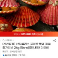 국내산 통영 제철 홍가리비 2kg