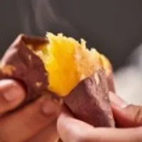 해남 황토밭 24년 햇 꿀밤고구마 특상 2kg