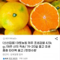 제주 타이벡 조생감귤 중대과 4.5kg