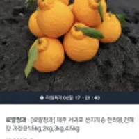 제주 서귀포 산지직송 한라봉, 천혜향 1.5kg 등