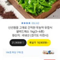 무농약 유럽식 샐러드채소 1kg