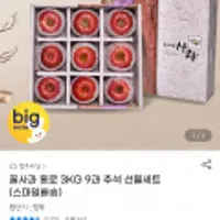 홍로사과 3kg 9과 선물세트