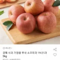경북사과 가정용 부사 소꼬마과 19-21과 3kg