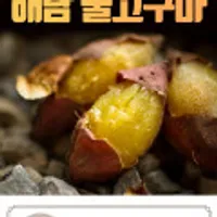산지직송 해남꿀고구마 5kg
