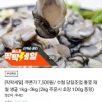 수협 당일조업 통영 제철 생굴 1kg~3kg (2kg 주문시 초장 100g 증정)