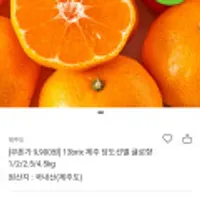 13brix 제주당도선별 귤로향 1kg