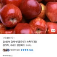 경북 햇 홍로사과 2kg 13과