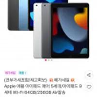 애플 아이패드 에어 9세대 10.2인치 256GB