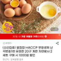 HACCP 무항생제 난각번호1번 유정란 20구