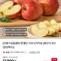 홍로 사과 2kg 소과