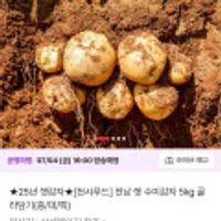 전남 햇 수미감자 5kg