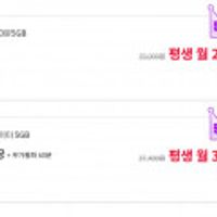 평생 요금제 300분 5기가 & 통화 무제한 5기가