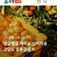 제주 고당도 효돈감귤 5kg