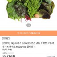 당일수확 유기농 무농약 쌈채소 1kg