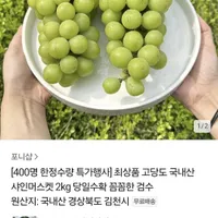 국내산 고당도 샤인머스켓 2kg