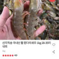 국내산 활 흰다리새우 1kg 28-35미