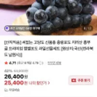 씨없는 고당도 신품종 충랑포도 지리산 캠벨포도 선물세트