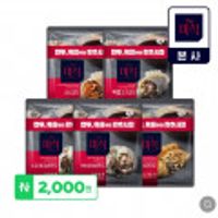 더미식 교자/군만두/손만두 1+1 2개세트