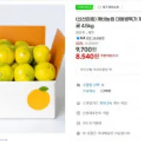 깨비농원 대용량특가 제주 타이벡 노지감귤 4.5kg