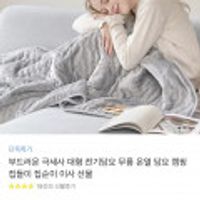 극세사 대형 전기담요