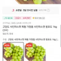산지직송 고당도 샤인머스켓 가정용 1kg 2수