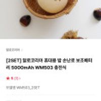 알로코리아 휴대용 밤 손난로 보조배터리 5000mAh 2개