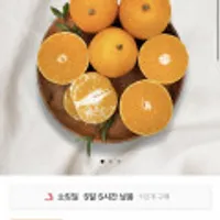 제주 애월농협 황금향 2kg