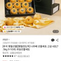 나주배 선물세트 고급4호 (7.5KG 9~10과)