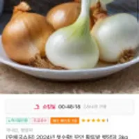 2024년 첫수확 무안 황토밭 햇양파 3kg 소