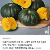 제주 미니 단호박 특품 2kg