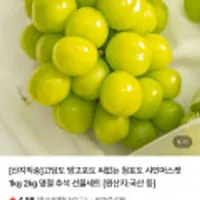 샤인머스캣 4~5수 4kg