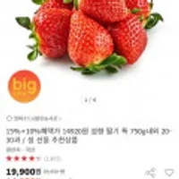 충남 논산 설향 딸기 특 750g내외 20-30과