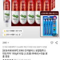 2080 진지발리스 유칼립투스 민트치약 150gX10입