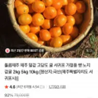 돌콤 제주 서귀포 노지 감귤 2kg
