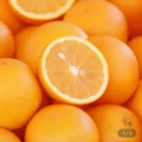 제주 황금향 가정용 4.5kg