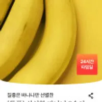 바나나 2송이 총 2600그람