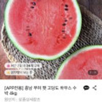 충남 부여 햇 고당도 하우스 수박 5kg