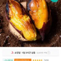 24년산 해남 햇 꿀밤고구마 특상 3kg